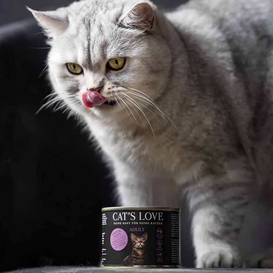 Cat´s Love Lata comida húmeda de pescado y pollo para gatos.